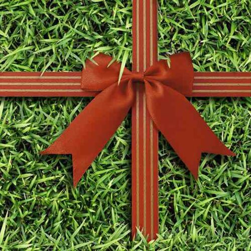 Green Gift Guide